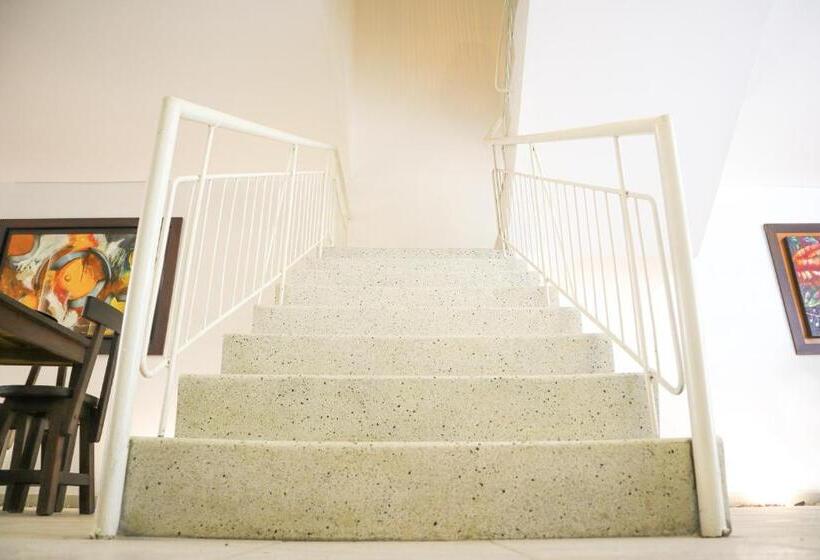 膳宿费 Casa Mompa