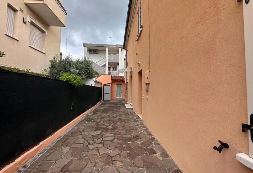 Rimini Beach Residence 200 Mt Dal Mare   Il Lupo Affitta