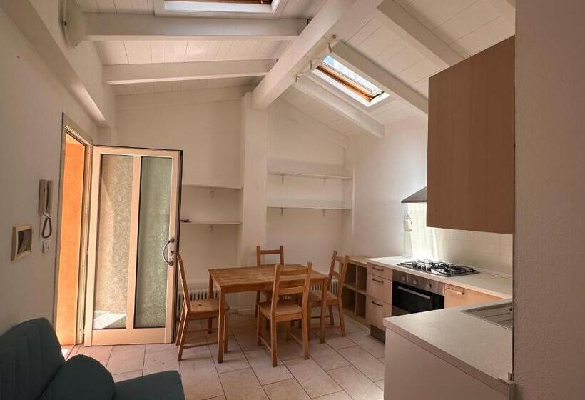 Rimini Beach Residence 200 Mt Dal Mare   Il Lupo Affitta