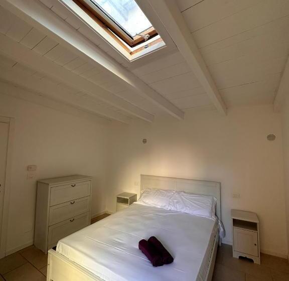 Rimini Beach Residence 200 Mt Dal Mare   Il Lupo Affitta