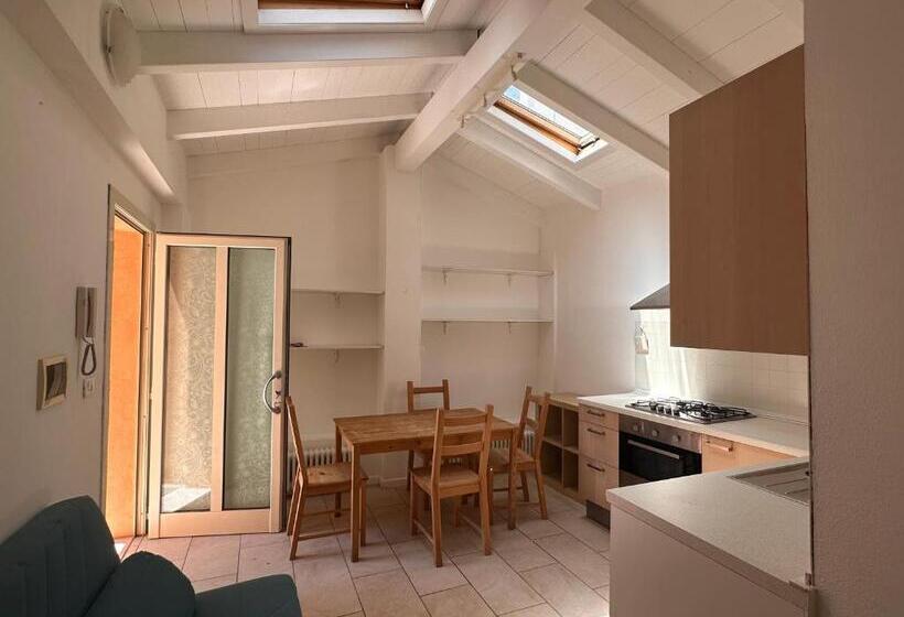 Rimini Beach Residence 200 Mt Dal Mare   Il Lupo Affitta