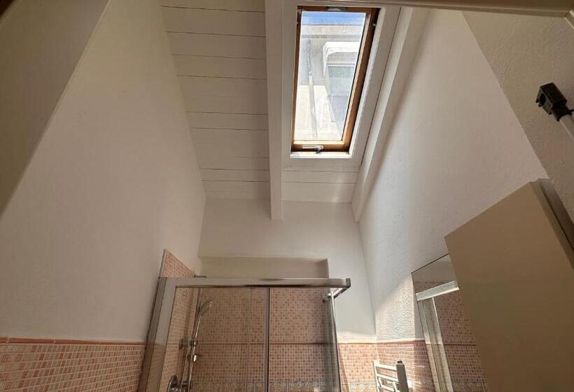 Rimini Beach Residence 200 Mt Dal Mare   Il Lupo Affitta