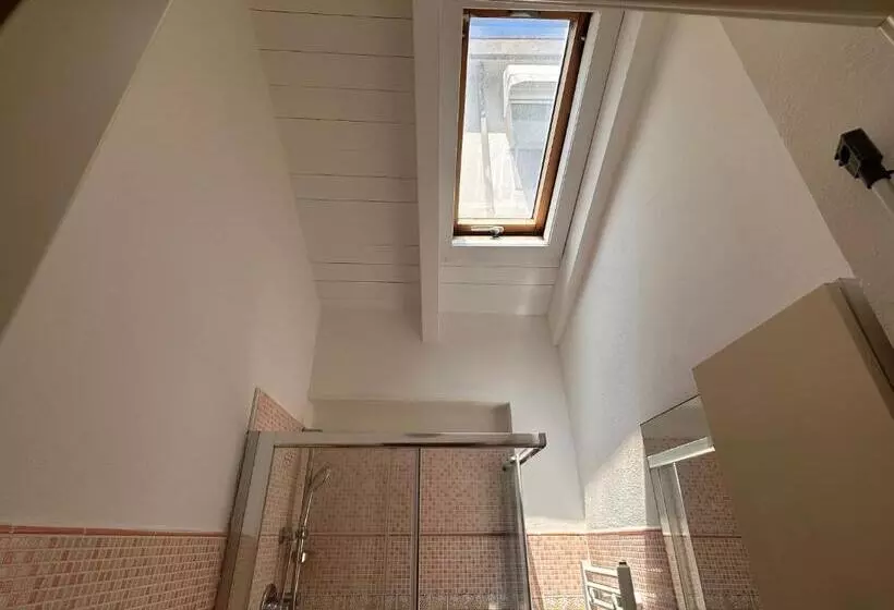 Rimini Beach Residence 200 Mt Dal Mare   Il Lupo Affitta