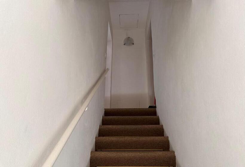 Rimini Beach Residence 200 Mt Dal Mare   Il Lupo Affitta