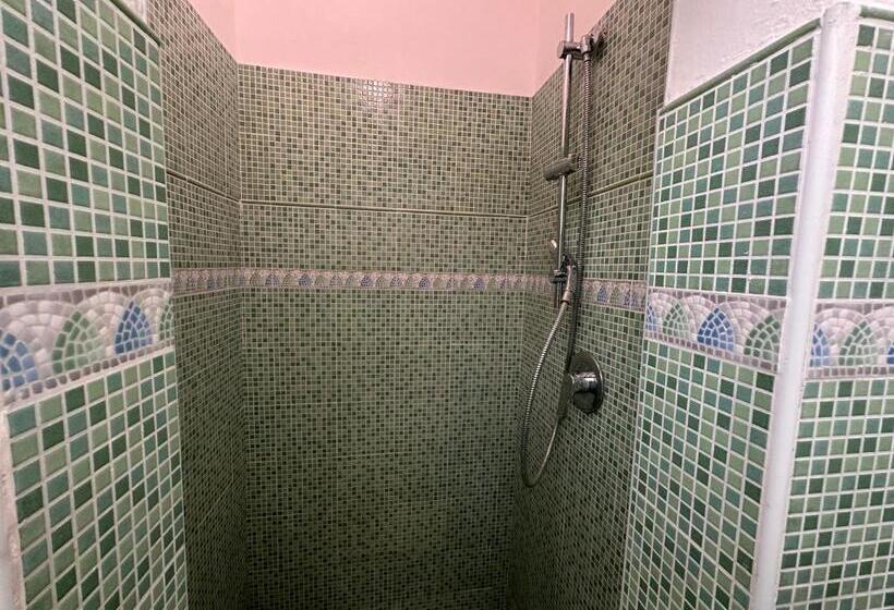 Rimini Beach Residence 200 Mt Dal Mare   Il Lupo Affitta