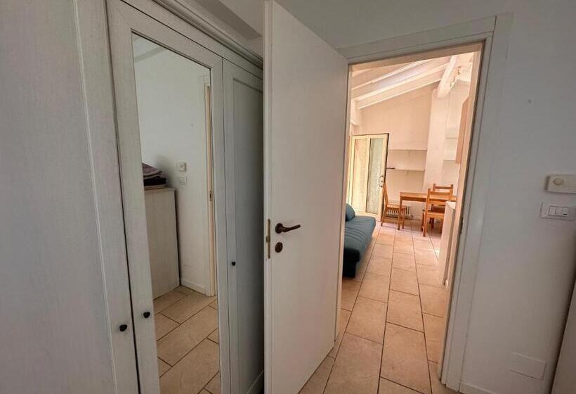 Rimini Beach Residence 200 Mt Dal Mare   Il Lupo Affitta