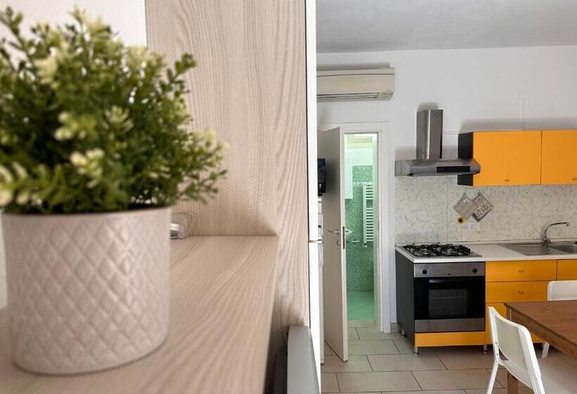 Rimini Beach Residence 200 Mt Dal Mare   Il Lupo Affitta