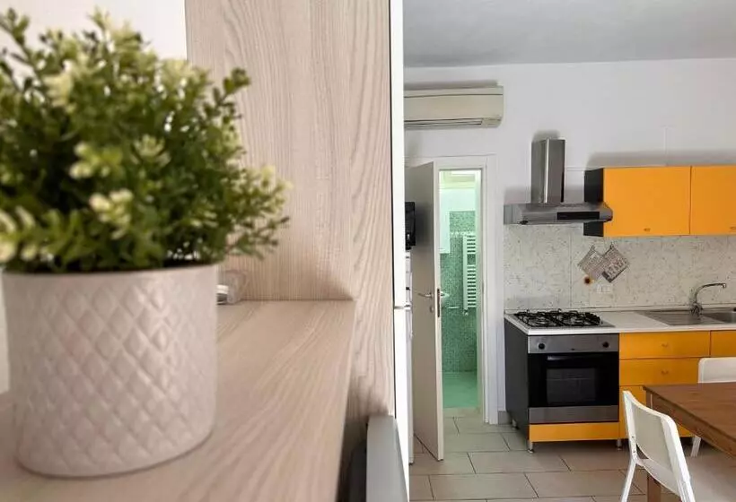 Rimini Beach Residence 200 Mt Dal Mare   Il Lupo Affitta