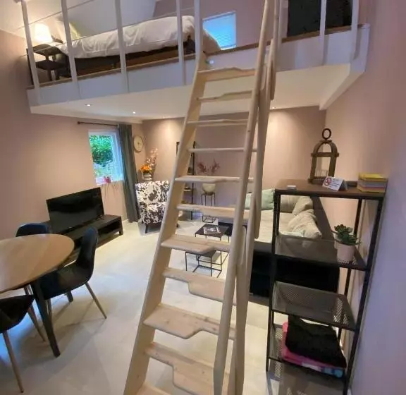 B&b In De Aap Gelogeerd