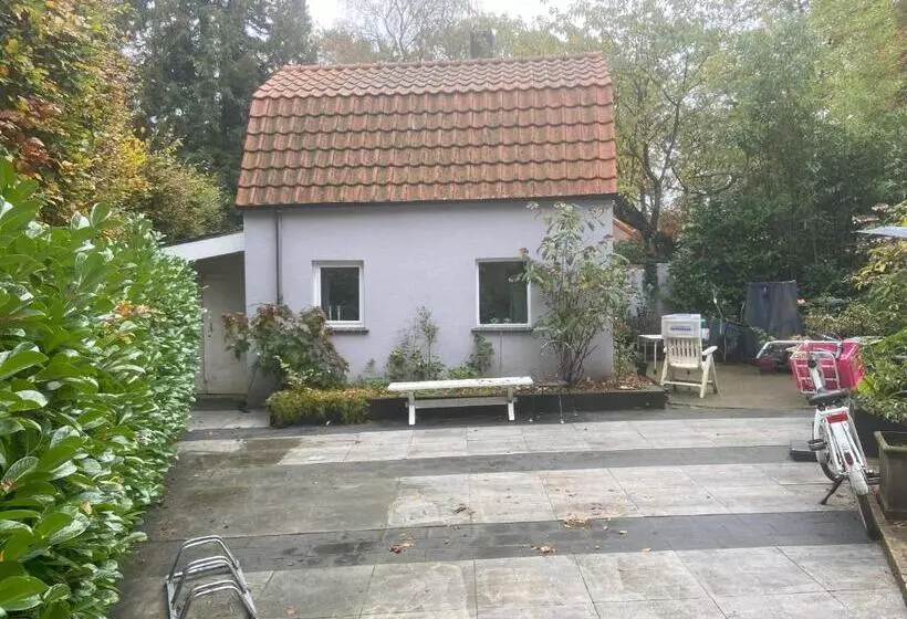 B&b In De Aap Gelogeerd