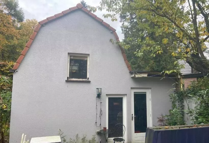 B&b In De Aap Gelogeerd