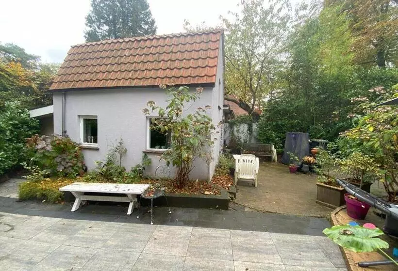 B&b In De Aap Gelogeerd