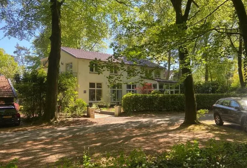 B&b In De Aap Gelogeerd