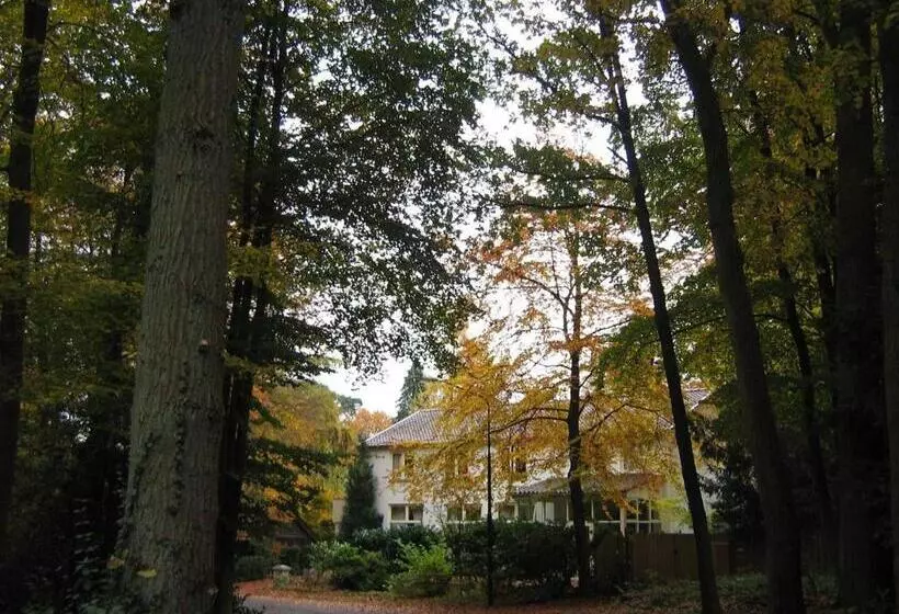 B&b In De Aap Gelogeerd