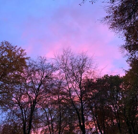 B&b In De Aap Gelogeerd