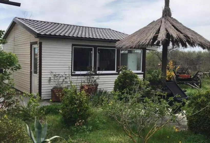 ベッドアンドブレックファースト Casa De Vacanță Topaz
