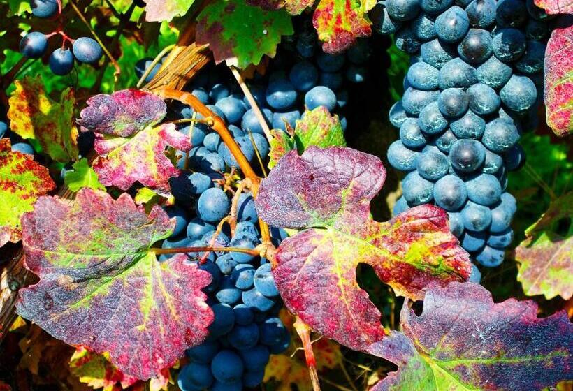 ベッドアンドブレックファースト Casa Piantone