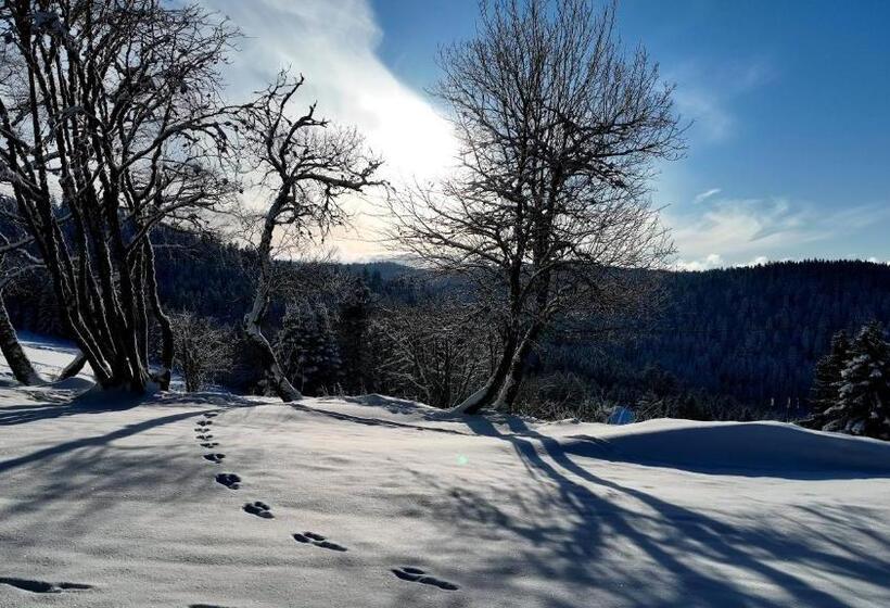 צימר Chalet Perle Des Hauts