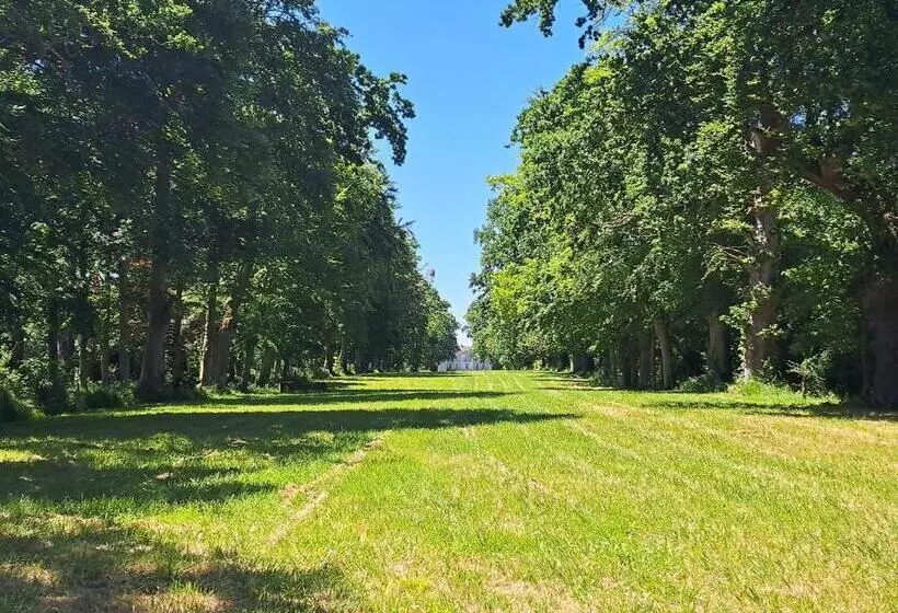 Aamiaismajoitus (B&B) Château D Agy