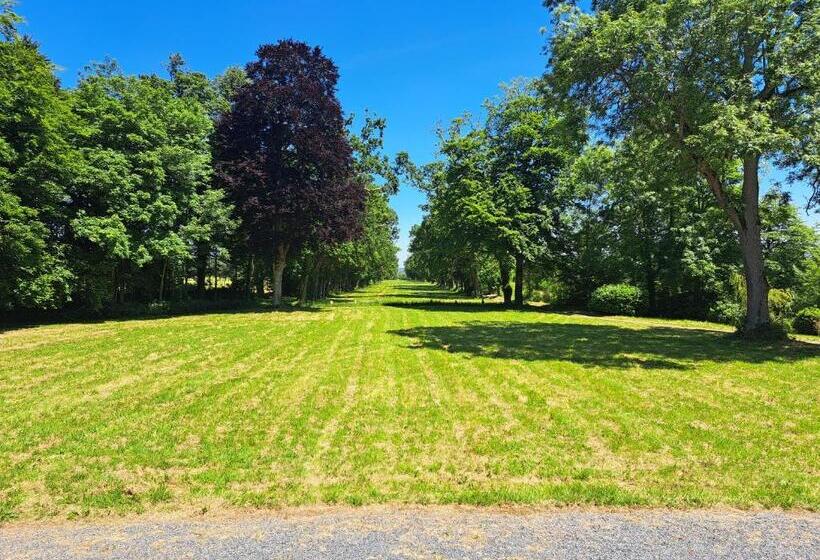 مبيت وإفطار Château D Agy