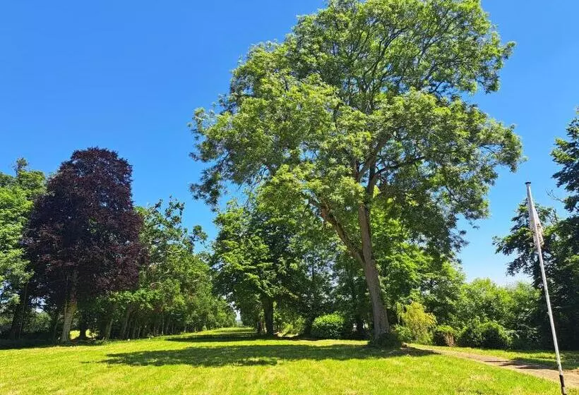 Aamiaismajoitus (B&B) Château D Agy
