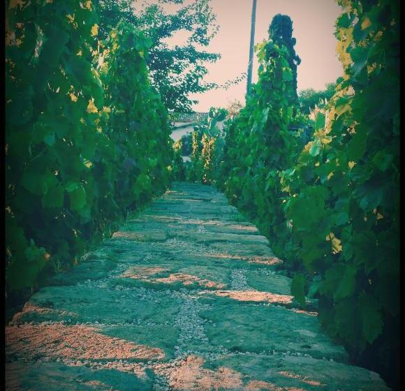 Hotel Agriturismo Il Ranch