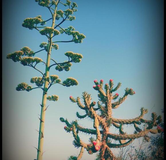 Hotel Agriturismo Il Ranch