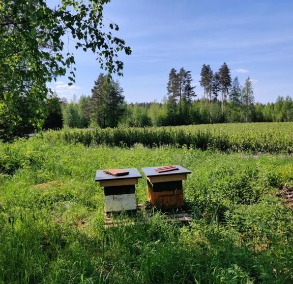 בית מלון כפרי Haaran Torppa