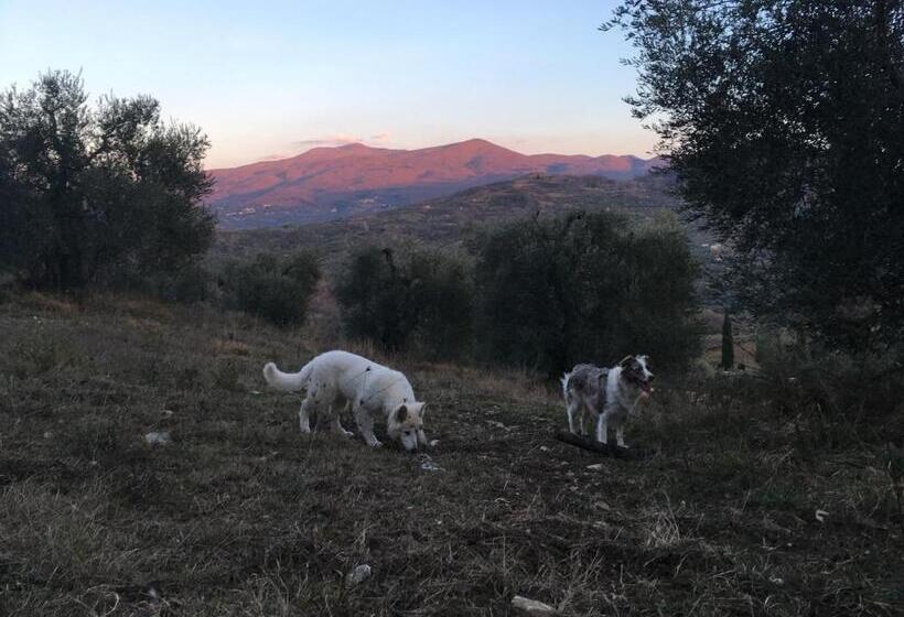 ホテル La Banditaccia