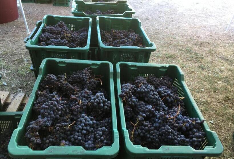 فندق La Banditaccia