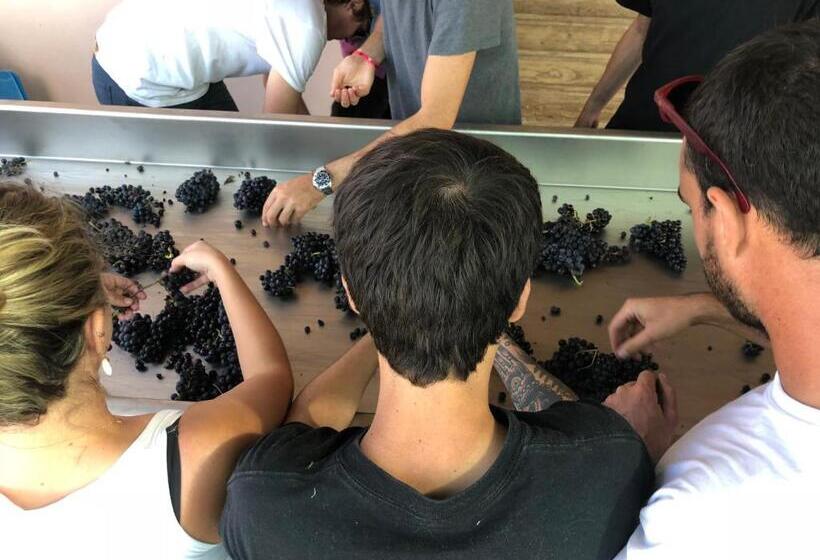 فندق La Banditaccia