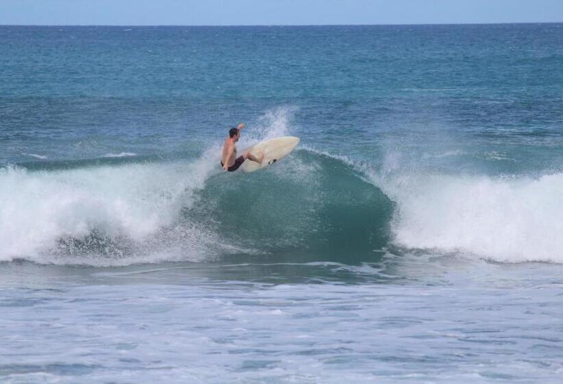 هتل Waves & Wifi   Popoyo