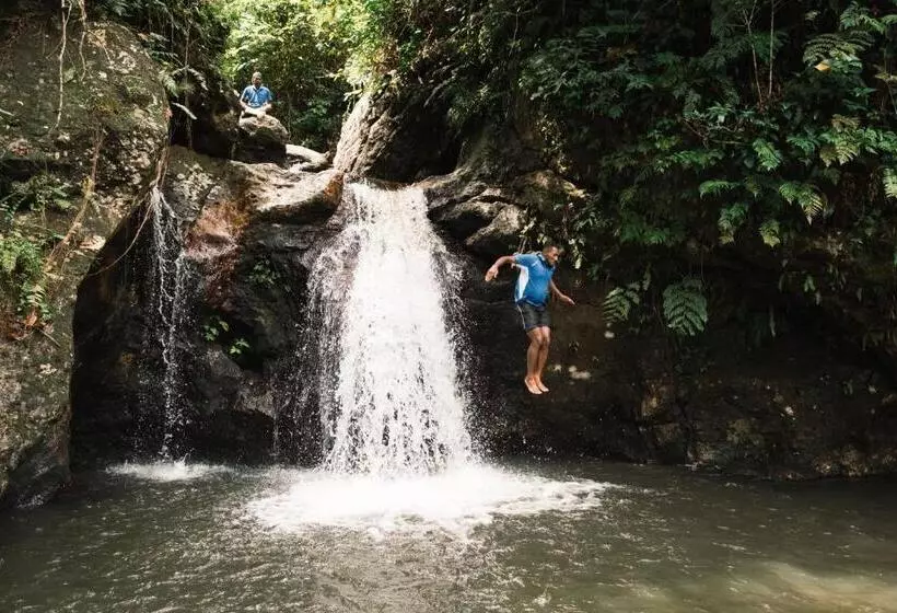 Papageno Resort & Dive