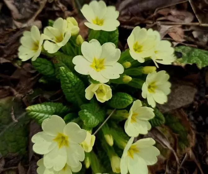 Pensiony A Ubytování V Kempu Indiana
