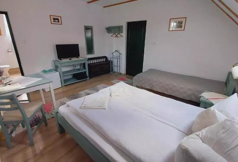 Pensiunea Királylány Vendégház