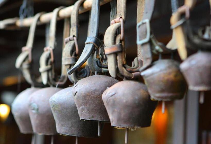 אתר נופש комплекс куклите