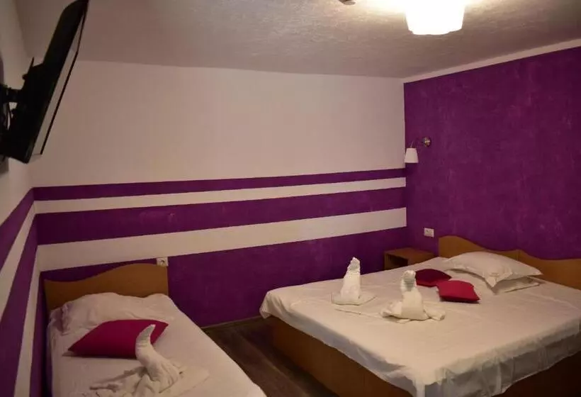 پانسیون Vila Tudor Mamaia Nord