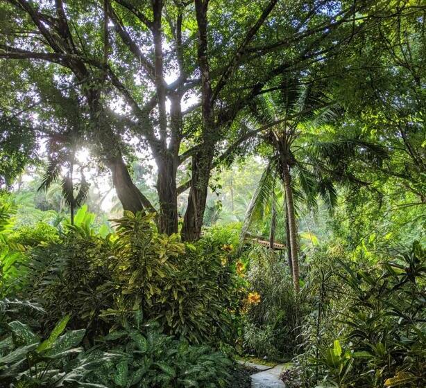 تختخواب و صبحانه Bluff Beach Retreat