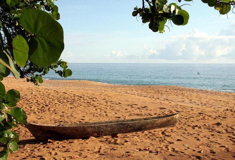 تختخواب و صبحانه Bluff Beach Retreat