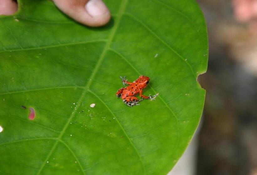 تختخواب و صبحانه Bluff Beach Retreat