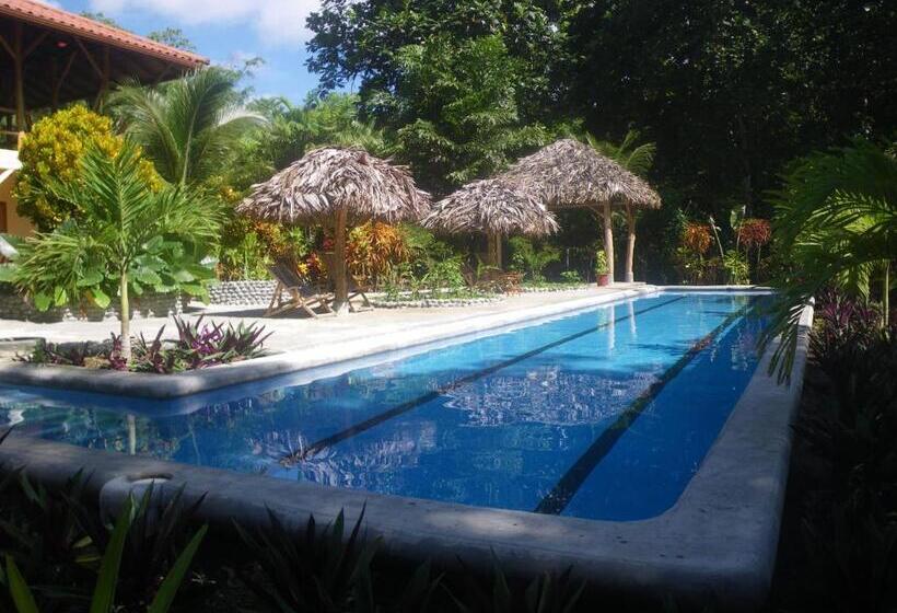 تختخواب و صبحانه Bluff Beach Retreat