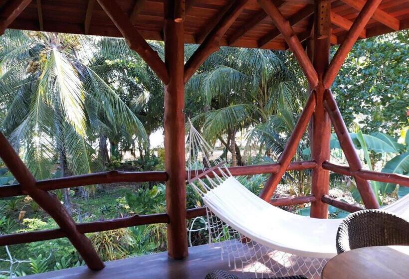 تختخواب و صبحانه Bluff Beach Retreat