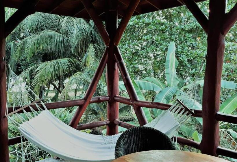 تختخواب و صبحانه Bluff Beach Retreat