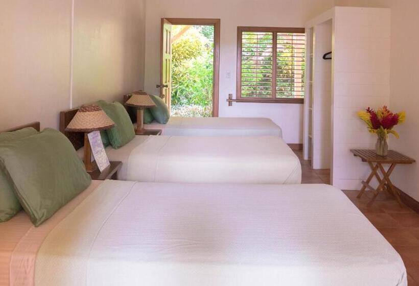 تختخواب و صبحانه Bluff Beach Retreat