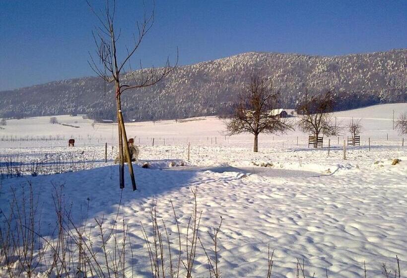 Bed and Breakfast Hôtel Gîte Rural à 3 Km De Delémont