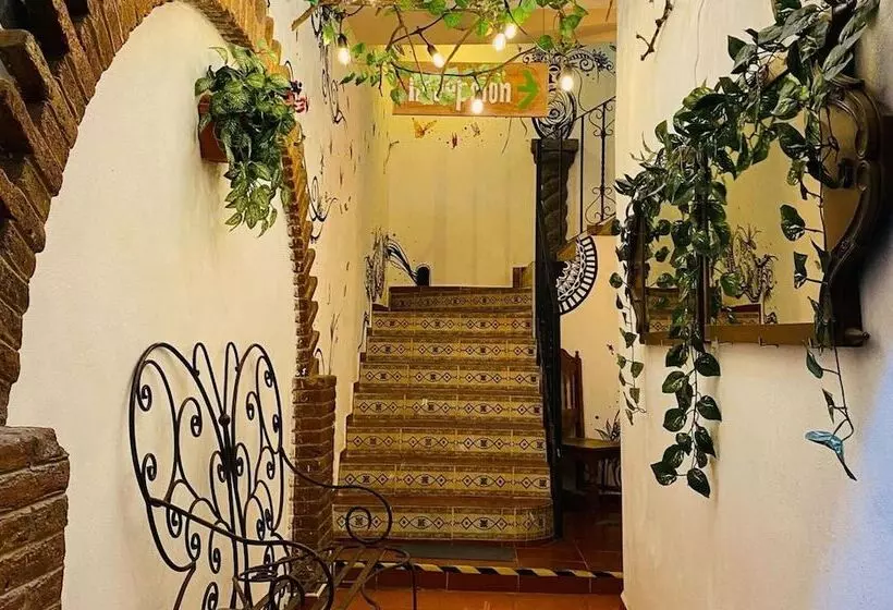 Hostelli La Ninfa