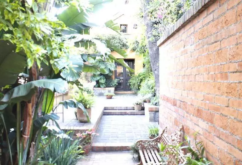 ホテル Casa Embrujo Morelia   Boutique