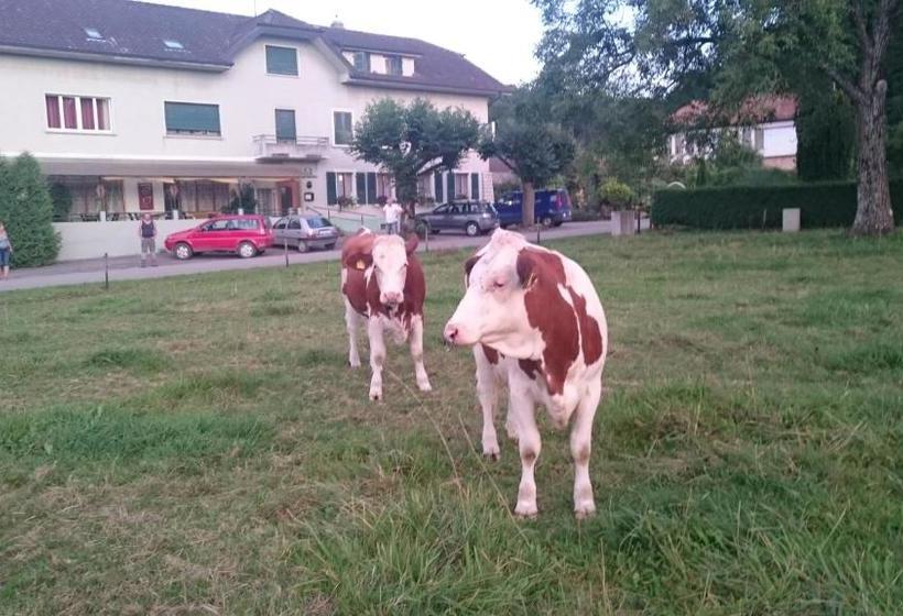 酒店 De La Gare, Vendlincourt