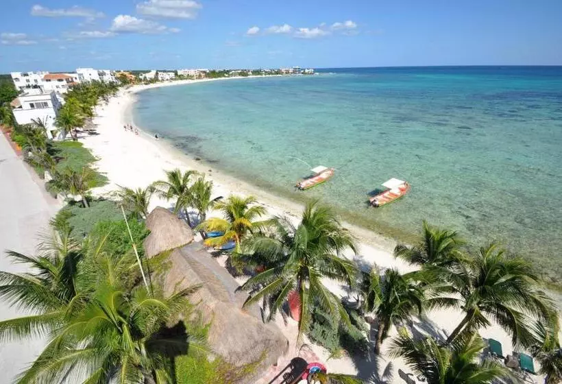 ホテル Del Sol Beachfront