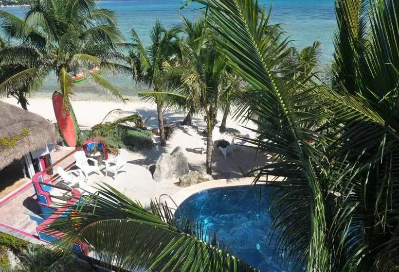 ホテル Del Sol Beachfront